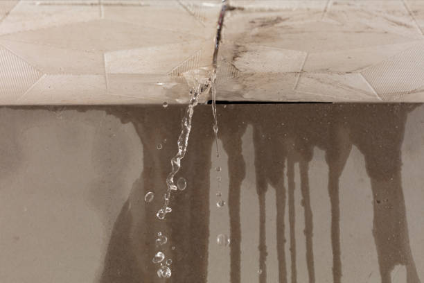 Professional Sewage Cleanup technician working in Panama, NE